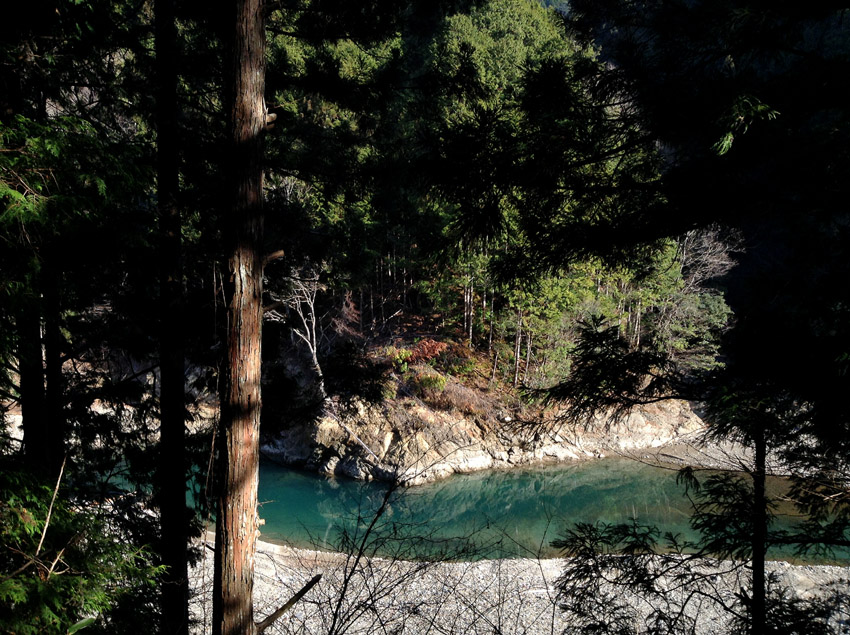 f:id:blepharisma:20130203052650j:image