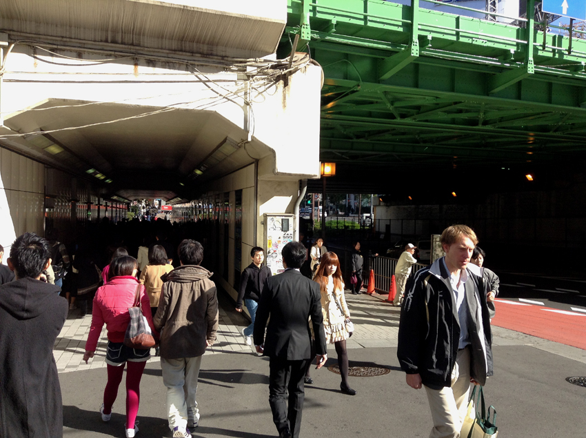 f:id:blepharisma:20130215101638j:image