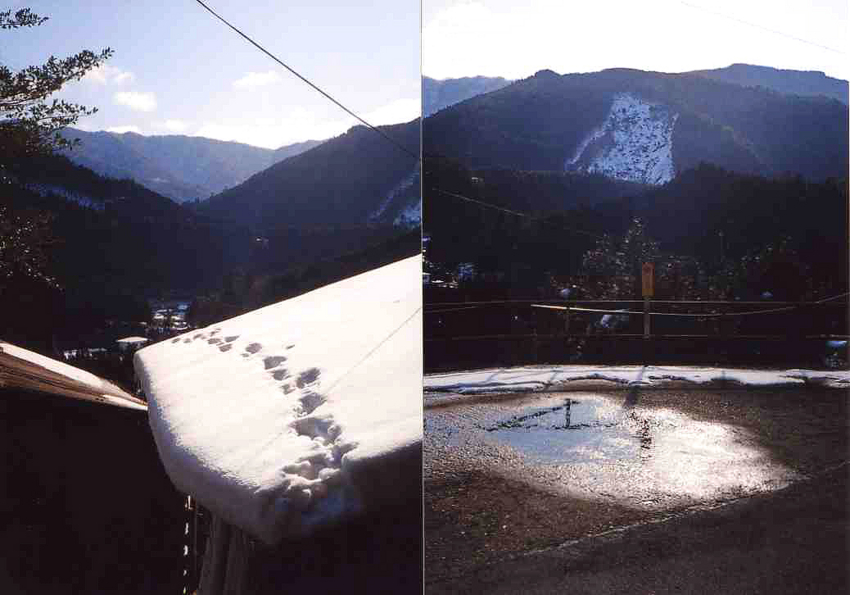 f:id:blepharisma:20130217071318j:image f:id:blepharisma:20130217071318j:image