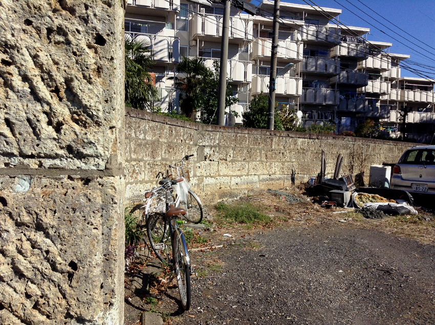 f:id:blepharisma:20130219103518j:image