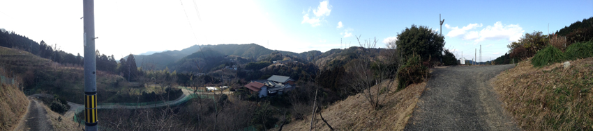 f:id:blepharisma:20130222101019j:image