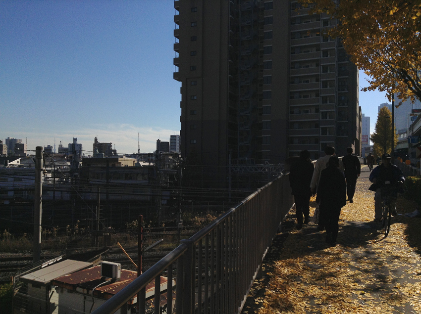 f:id:blepharisma:20130223062652j:image