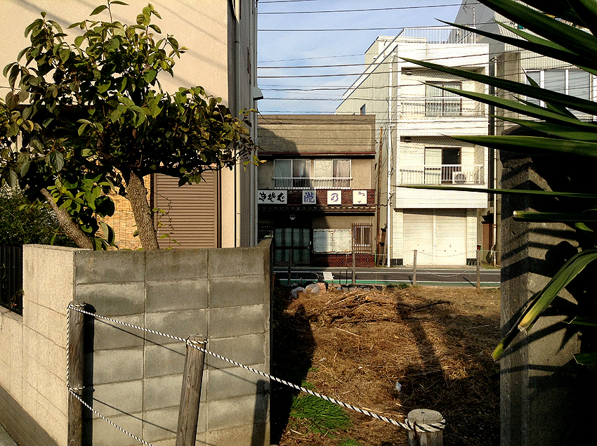 f:id:blepharisma:20130312101243j:image f:id:blepharisma:20130312101243j:image