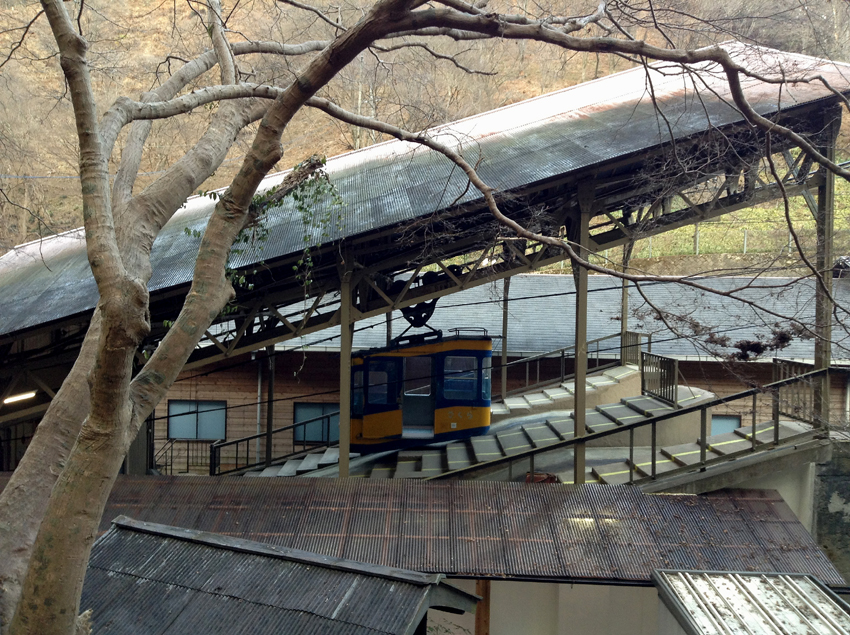 f:id:blepharisma:20130317071756j:image