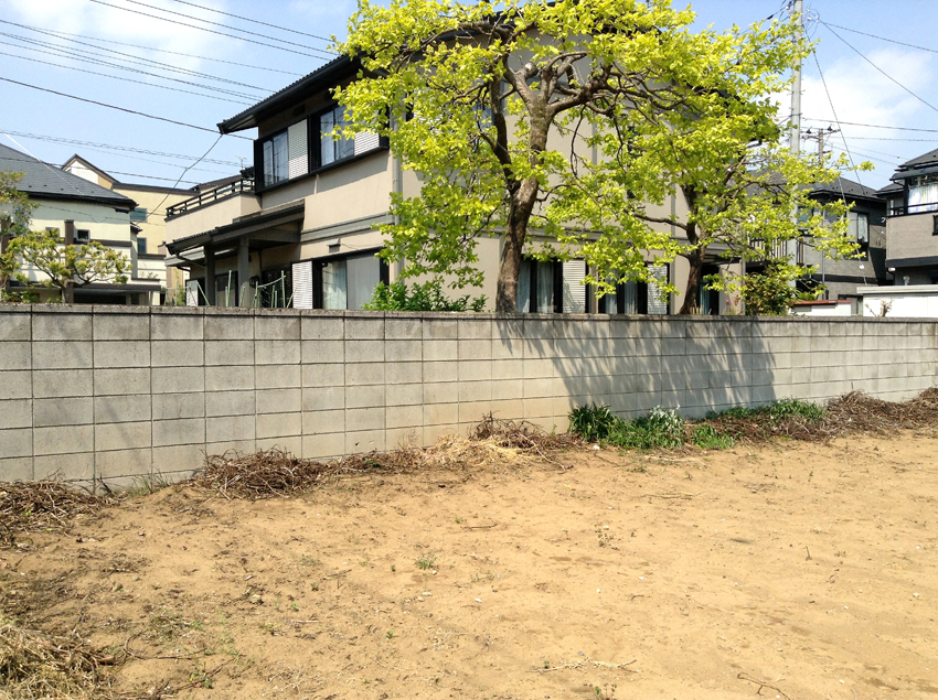 f:id:blepharisma:20130610100336j:image f:id:blepharisma:20130610100336j:image
