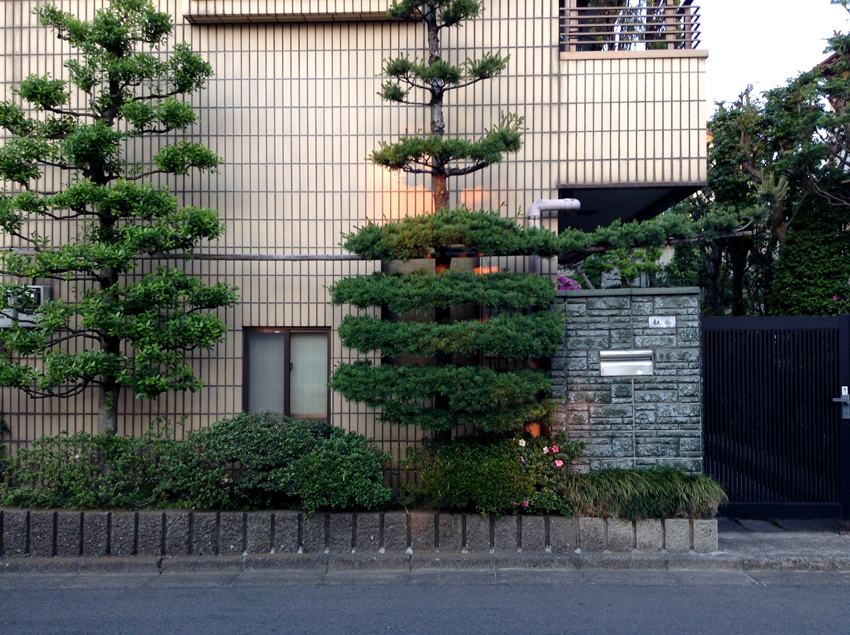 f:id:blepharisma:20130615084140j:image