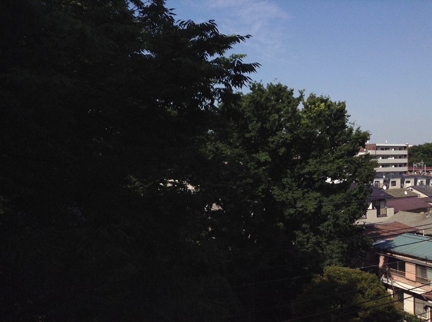 f:id:blepharisma:20130617102050j:image