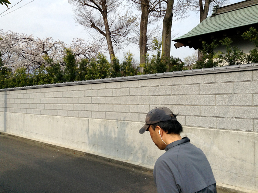 f:id:blepharisma:20130625102631j:image