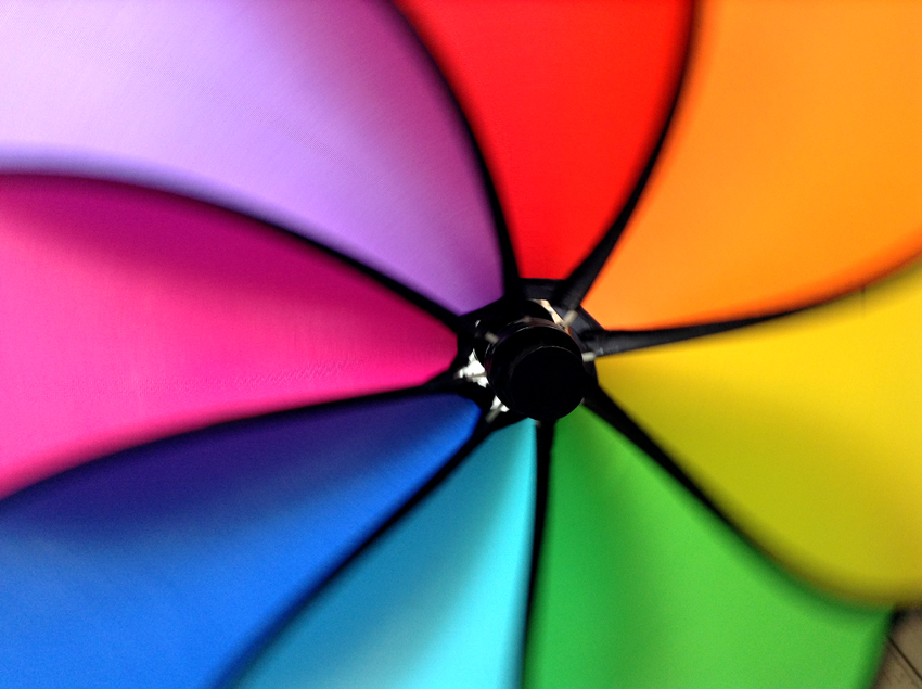 f:id:blepharisma:20130630062249j:image