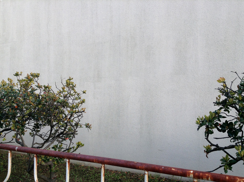 f:id:blepharisma:20130708084835j:image