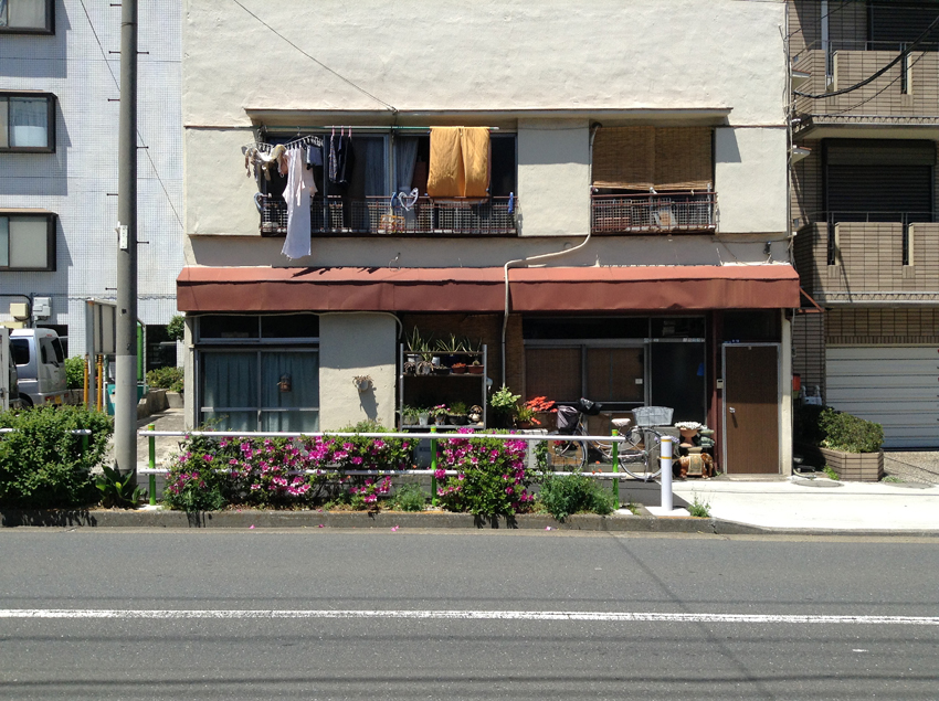 f:id:blepharisma:20130714093742j:image