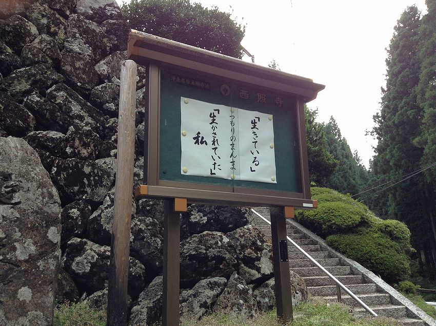 f:id:blepharisma:20131001094652j:image