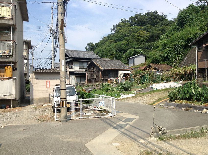 f:id:blepharisma:20131022115420j:image