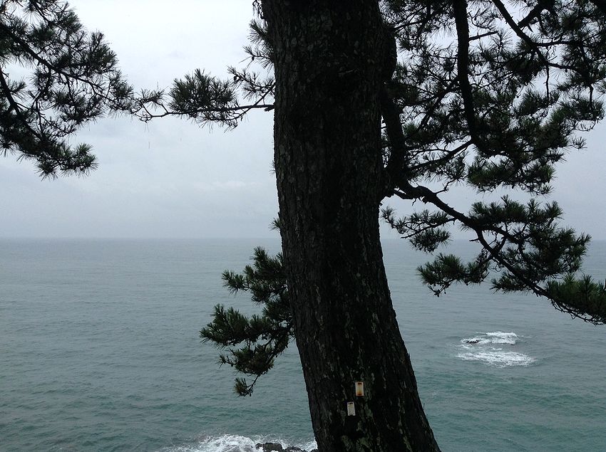 f:id:blepharisma:20131024094915j:image