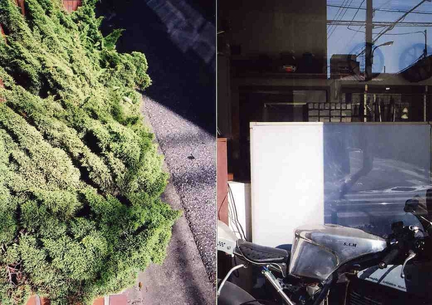 f:id:blepharisma:20131231202830j:image
