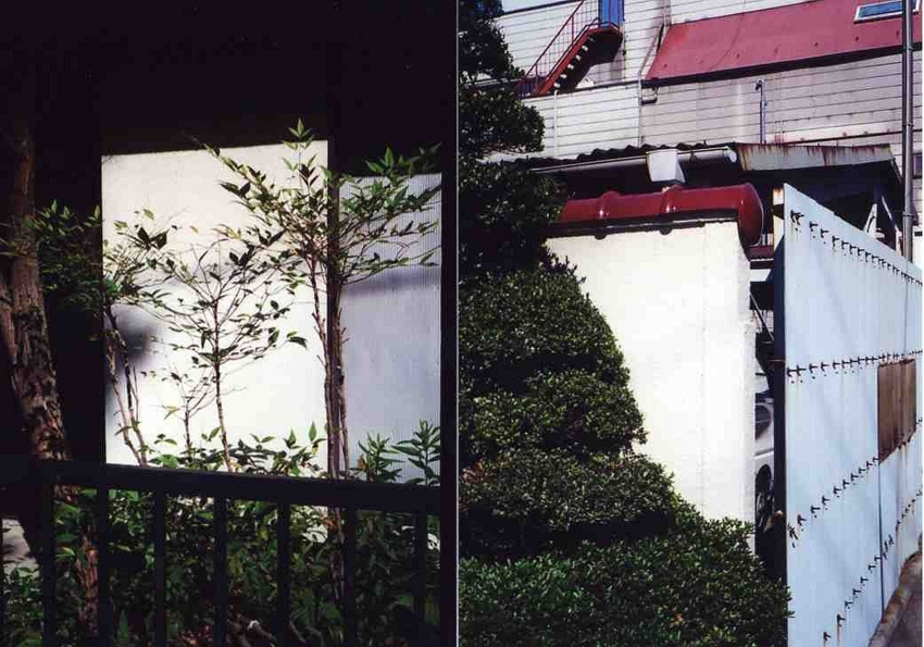 f:id:blepharisma:20131231202832j:image