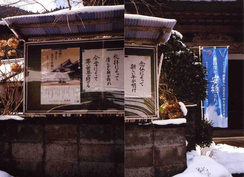 f:id:blepharisma:20140101000309j:image