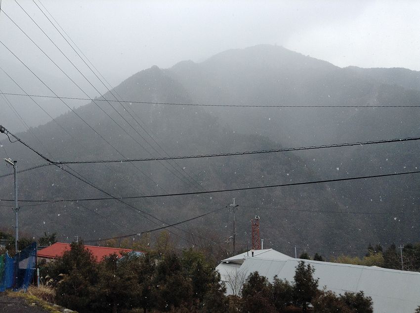f:id:blepharisma:20140120170001j:image