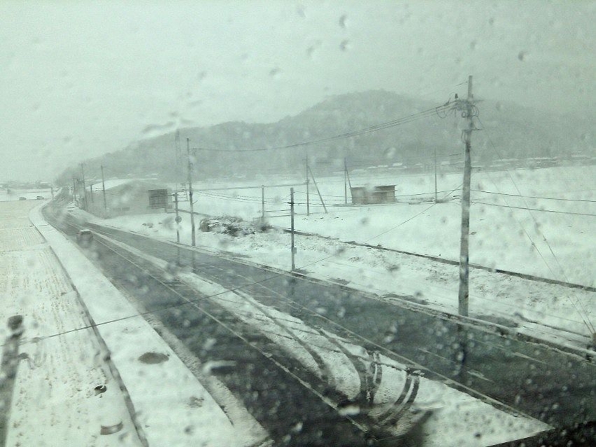 f:id:blepharisma:20140128175252j:image