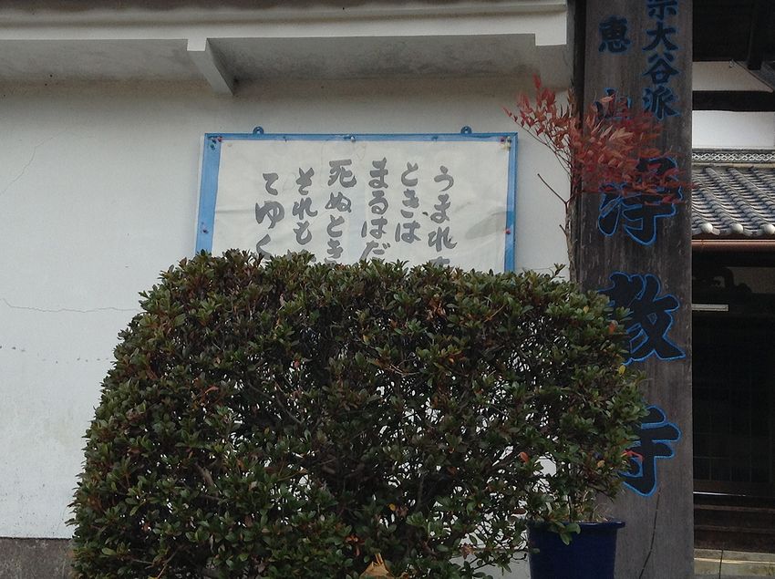 f:id:blepharisma:20140301073133j:image