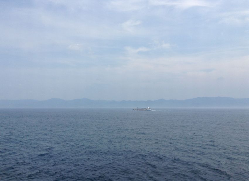 f:id:blepharisma:20140307120652j:image
