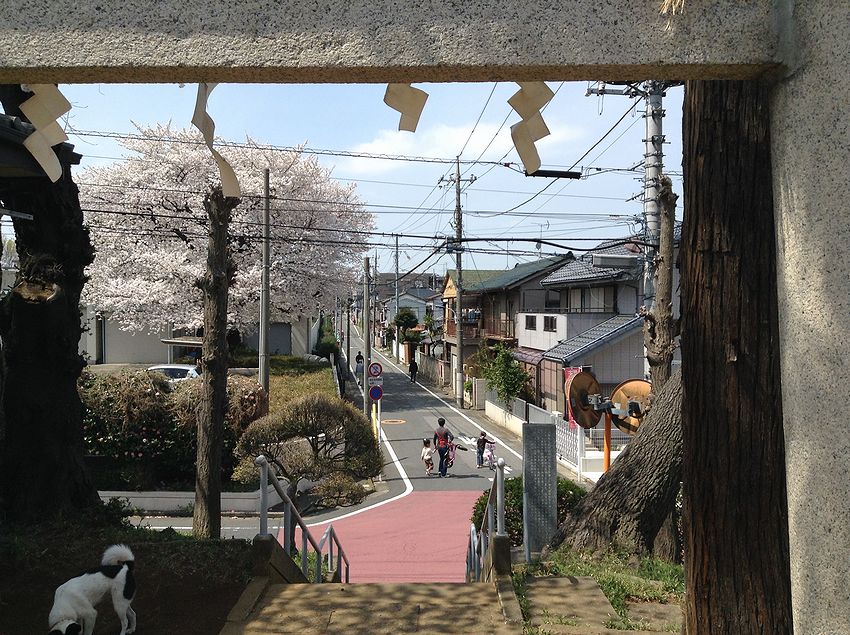 f:id:blepharisma:20140413195747j:image f:id:blepharisma:20140413195747j:image