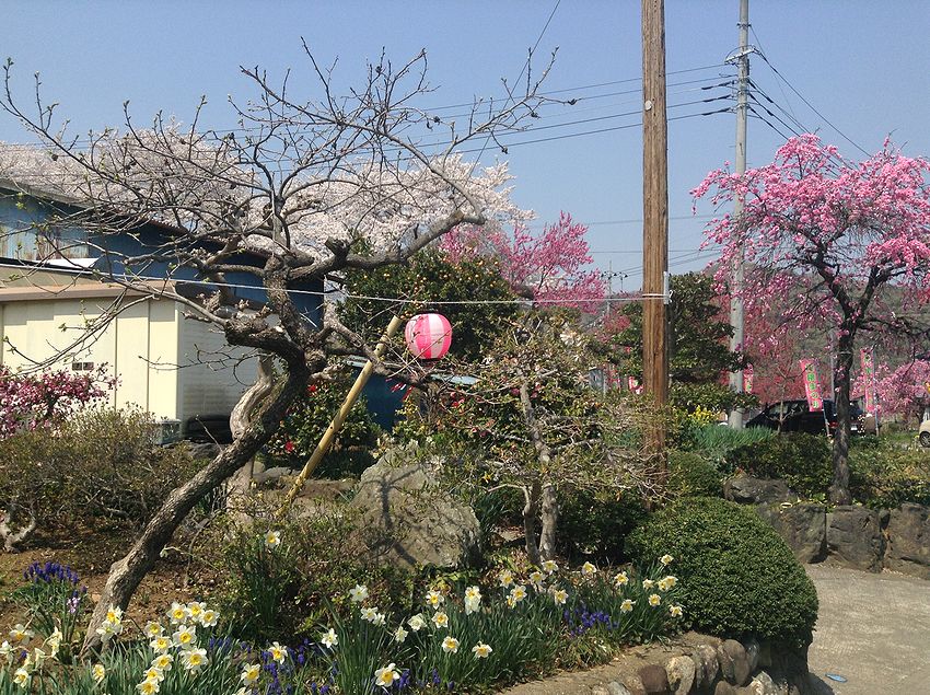 f:id:blepharisma:20140417102613j:image