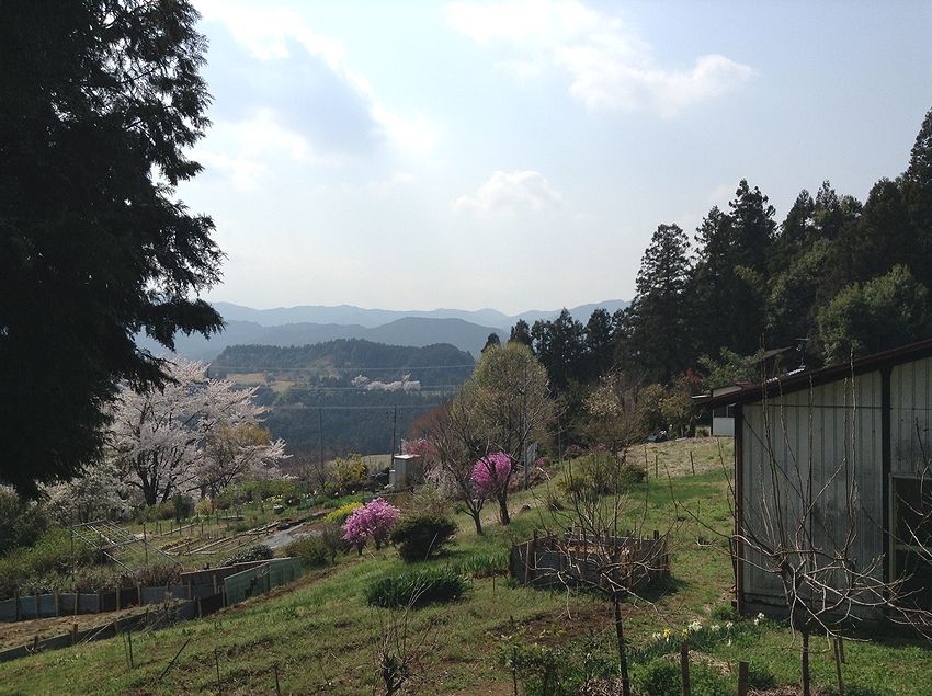 f:id:blepharisma:20140423112928j:image