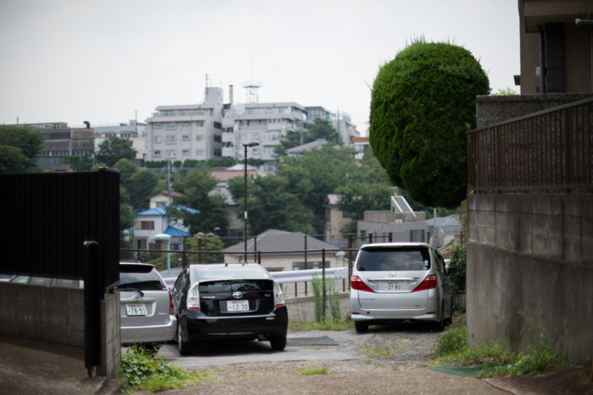 f:id:blepharisma:20140717195438j:image