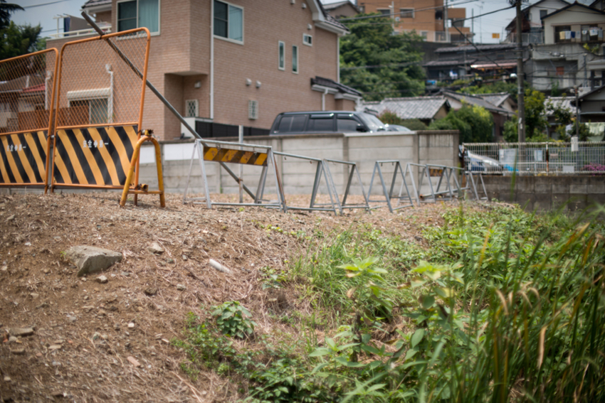 f:id:blepharisma:20140717195644j:image