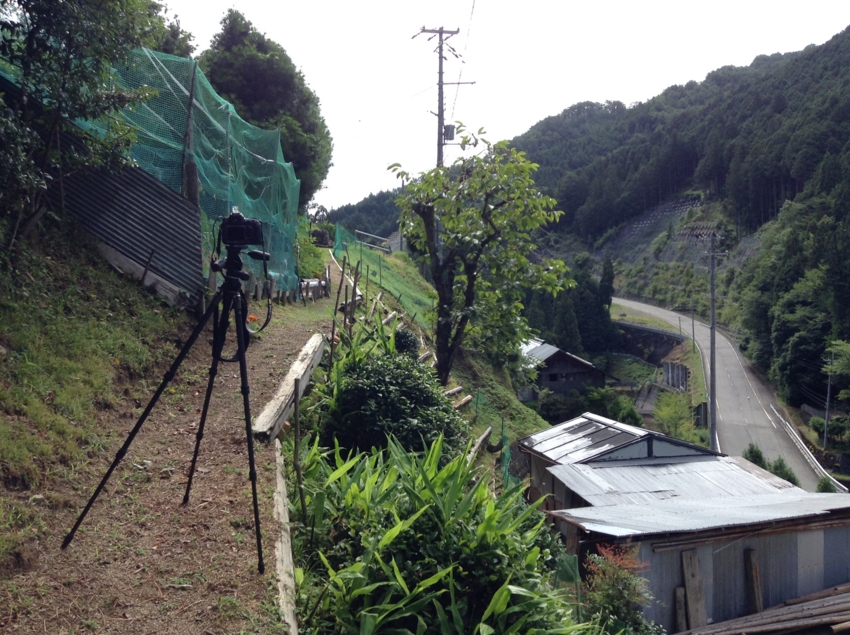 f:id:blepharisma:20140731143623j:image
