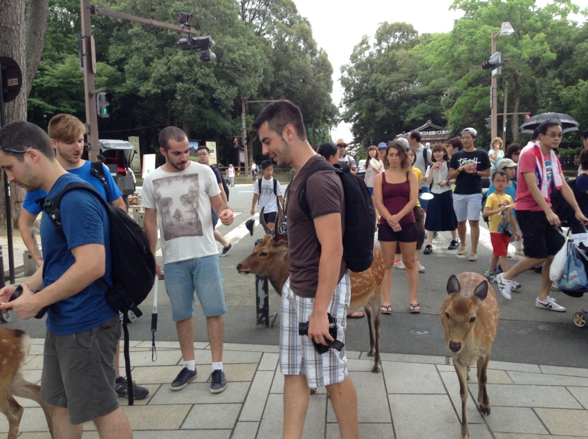 f:id:blepharisma:20140810103933j:image