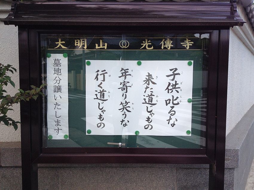 f:id:blepharisma:20141001122719j:image