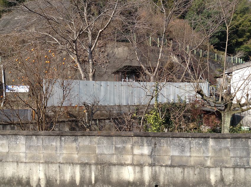 f:id:blepharisma:20141012005136j:image