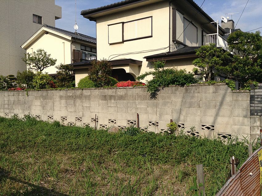 f:id:blepharisma:20141022093311j:image