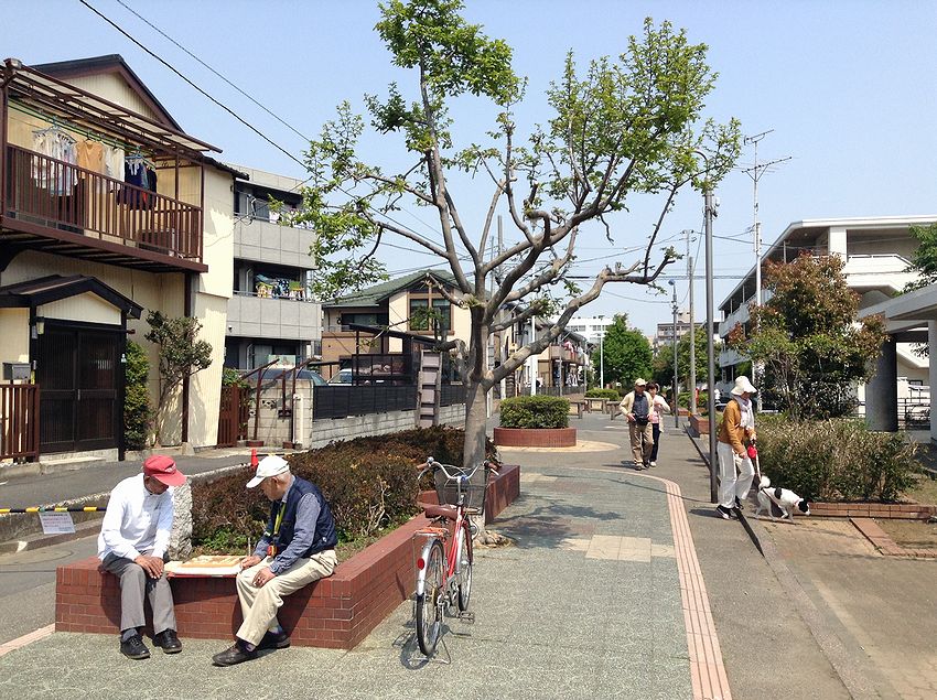 f:id:blepharisma:20141027102329j:image