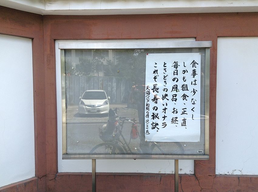 f:id:blepharisma:20141101100134j:image