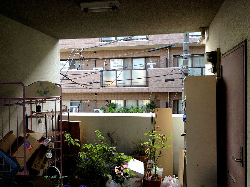f:id:blepharisma:20141107081141j:image