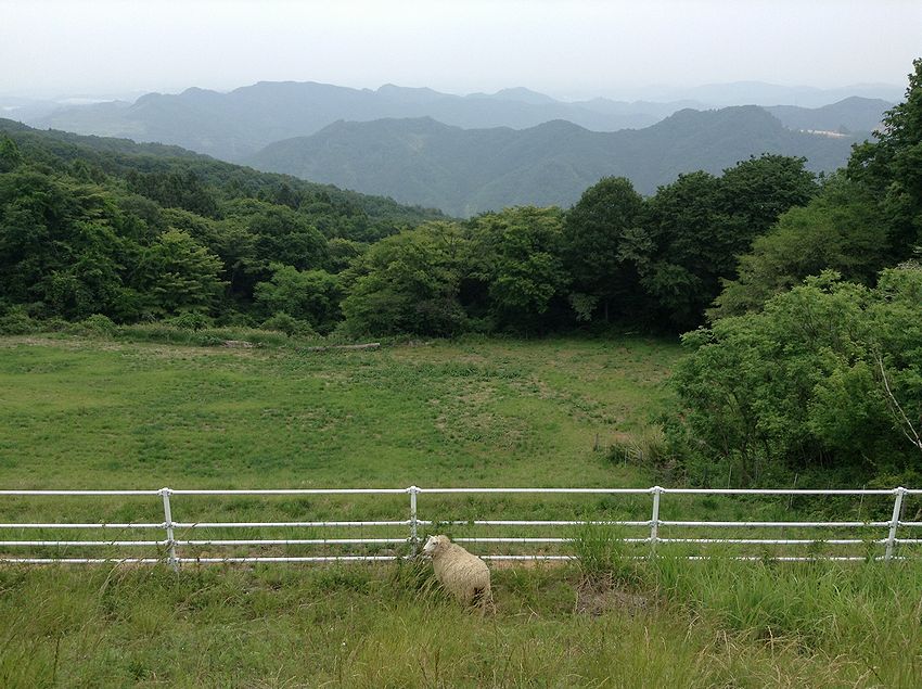 f:id:blepharisma:20141109095931j:image