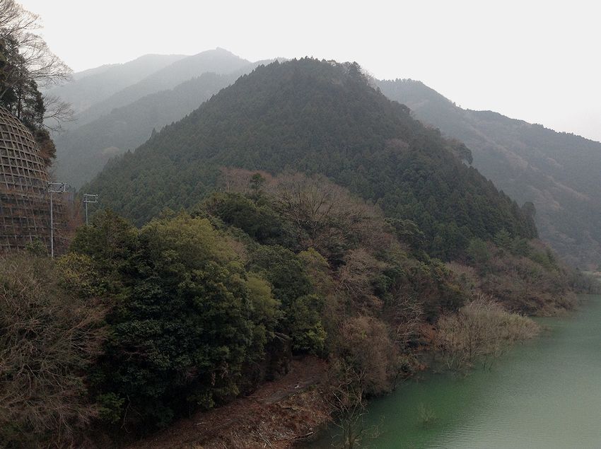 f:id:blepharisma:20141110114404j:image