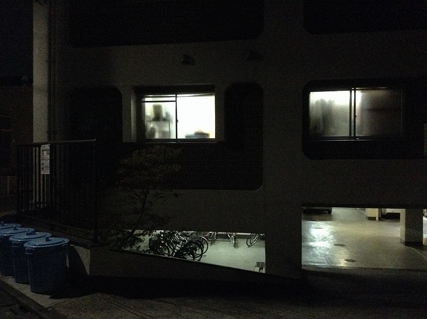 f:id:blepharisma:20150111003819j:image