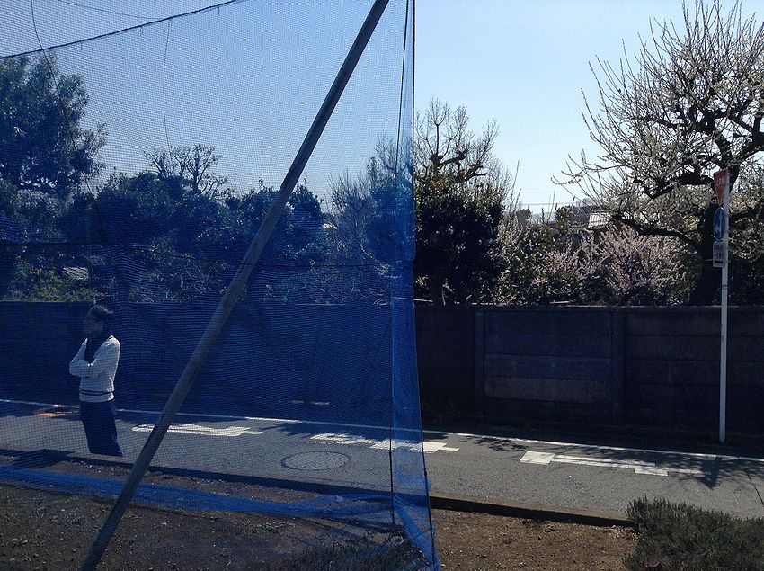 f:id:blepharisma:20150112224456j:image