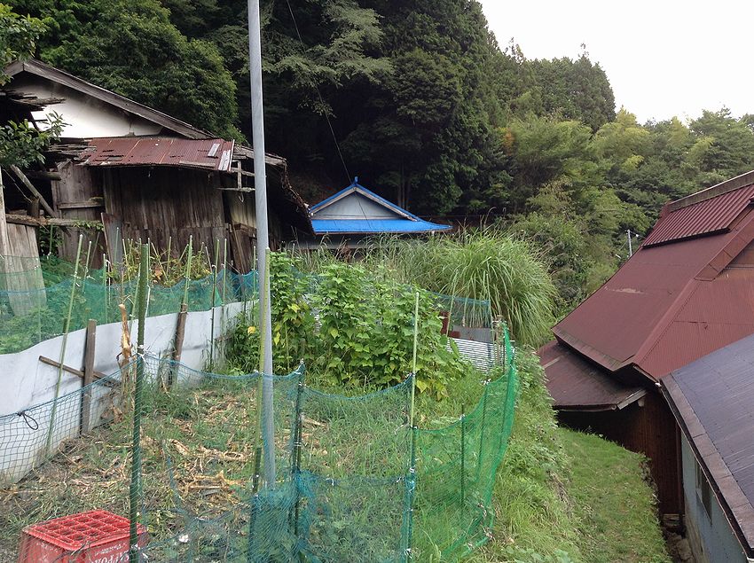 f:id:blepharisma:20150112224651j:image