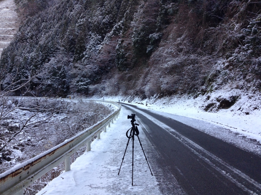 f:id:blepharisma:20150121081544j:image