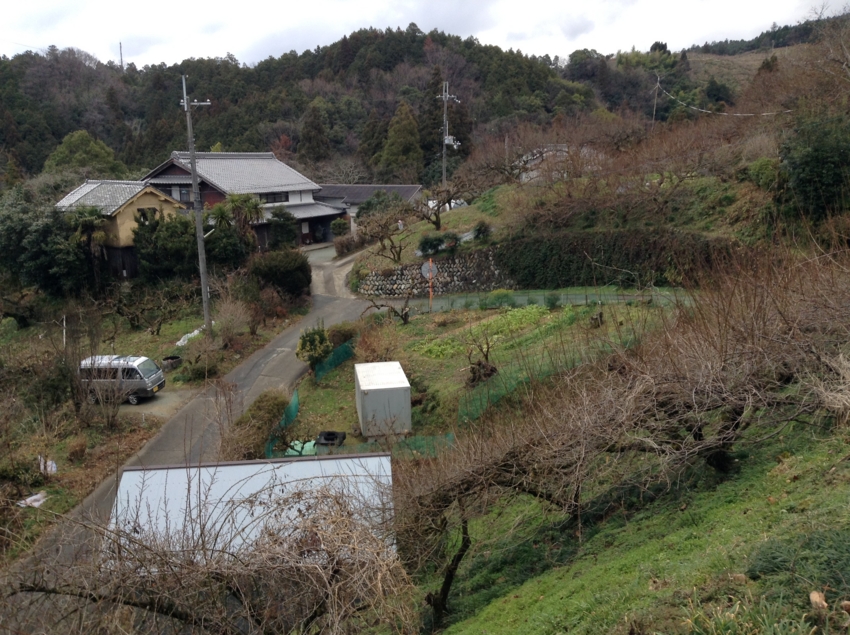 f:id:blepharisma:20150123194519j:image