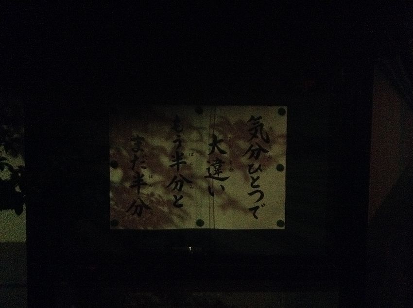 f:id:blepharisma:20150202112117j:image
