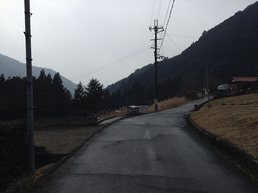 f:id:blepharisma:20150228123107j:image