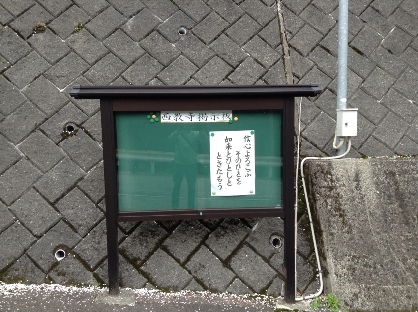 f:id:blepharisma:20150420121906j:image