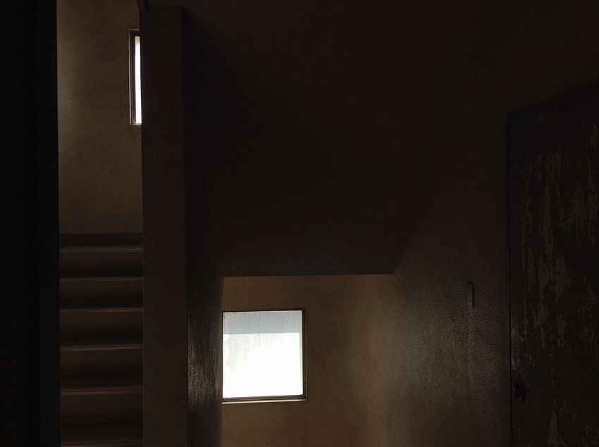f:id:blepharisma:20150516105823j:image