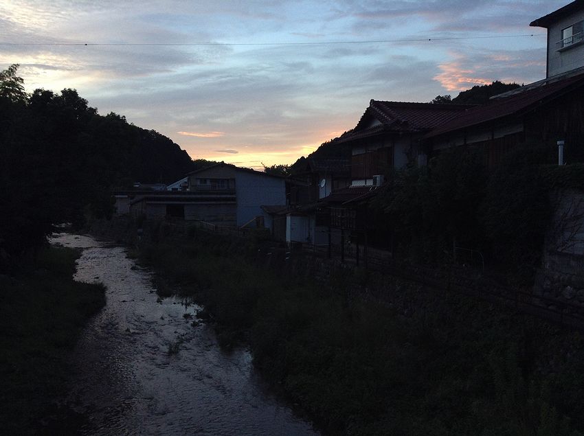 f:id:blepharisma:20150519085811j:image